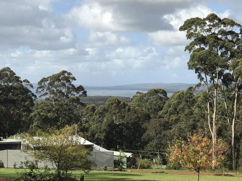 The Floating Forest - Tourism Cairns 2