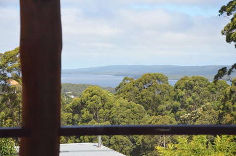 The Floating Forest - Tourism Cairns 21