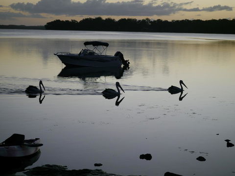 Dungowan Holiday Accommodation - Tourism Cairns 41
