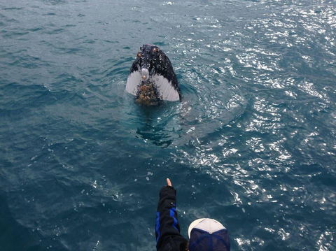 Number 72 Kalbarri Riverview Apartments - Tourism Cairns 11