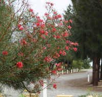 The Heights Bed  Breakfast - Tourism Cairns