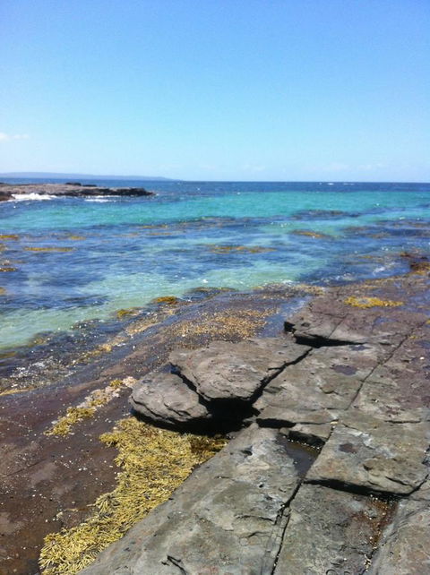 Jetz Bungalow - Tourism Cairns 9