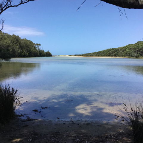 Jetz Bungalow - Tourism Cairns 5