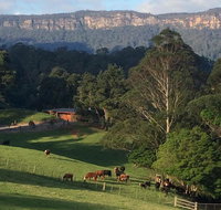 Amaroo Valley Springs - Tourism Cairns