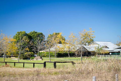 Potters Apartments - Tourism Cairns 26