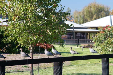 Potters Apartments - Tourism Cairns 25