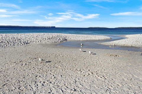 Huskisson Holiday Motel Cabins - Tourism Cairns 21