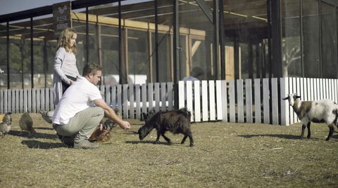 The Woods Farm Jervis Bay - Tourism Cairns 14