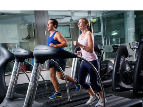 Novotel Sydney Brighton Beach - Tourism Cairns 14