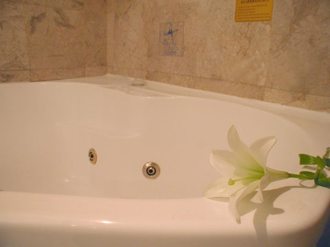 Novotel Sydney Brighton Beach - Tourism Cairns 11