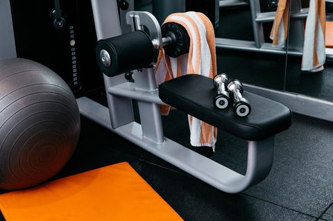 Swissotel Sydney - Tourism Cairns 21