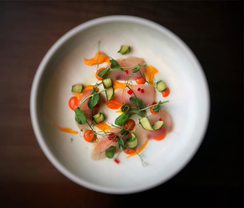 Swissotel Sydney - Tourism Cairns 17