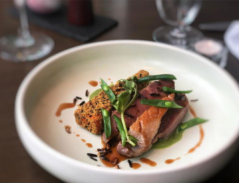 Swissotel Sydney - Tourism Cairns 16