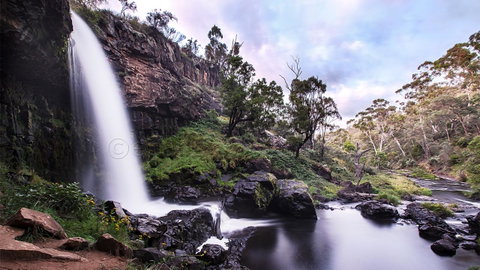 Pound Creek Gallery - Tourism Cairns 14