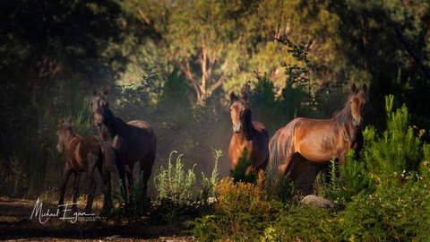 Pound Creek Gallery - Tourism Cairns 18