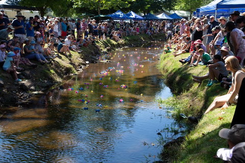 Pound Creek Gallery - Tourism Cairns 15
