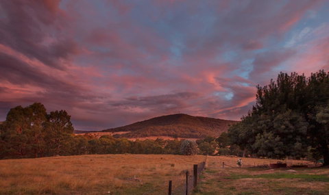 Pound Creek Gallery - Tourism Cairns 28