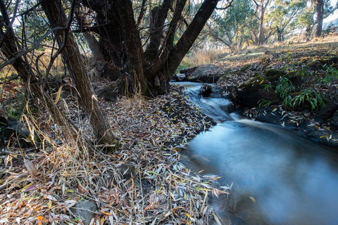 Pound Creek Gallery - Tourism Cairns 26