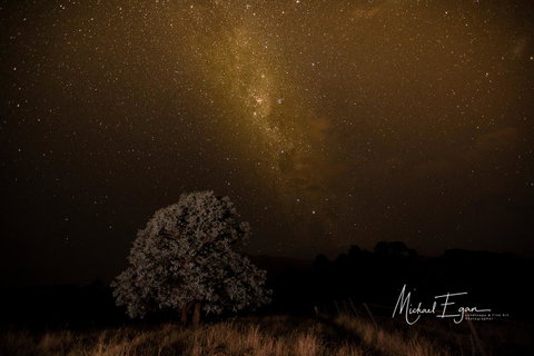 Pound Creek Gallery - Tourism Cairns 12
