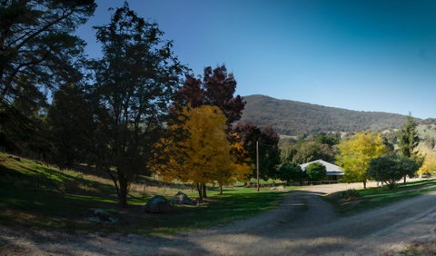 Pound Creek Gallery - Tourism Cairns 7