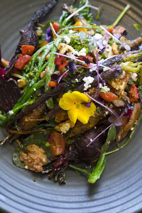 Sage Hotel Wollongong - Tourism Cairns 21