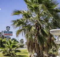 Allonville Gardens Motel - Tourism Cairns