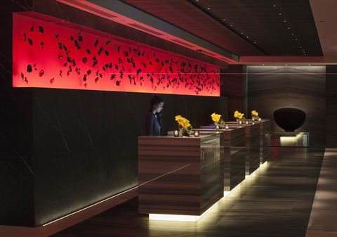 The Darling At The Star - Tourism Cairns 25