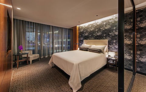 The Darling At The Star - Tourism Cairns 7