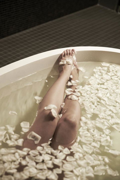 The Darling At The Star - Tourism Cairns 24