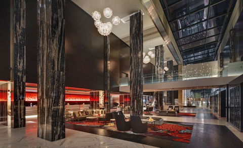 The Darling At The Star - Tourism Cairns 18