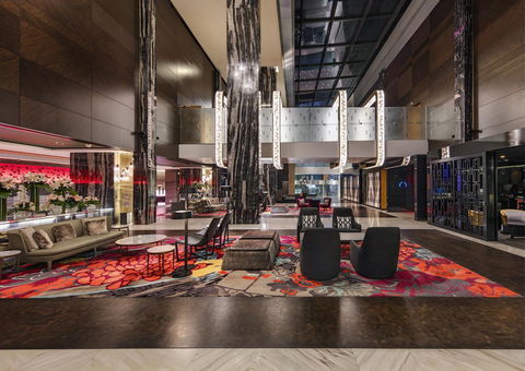 The Darling At The Star - Tourism Cairns 38