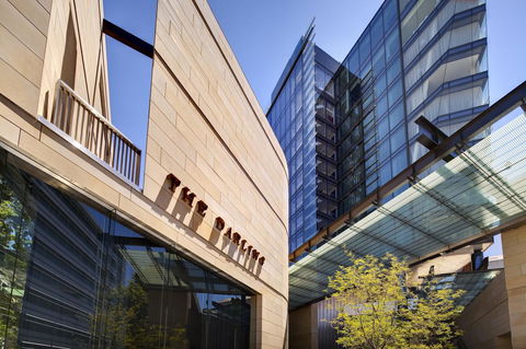 The Darling At The Star - Tourism Cairns 14