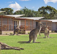 Discovery Parks  Pambula Beach