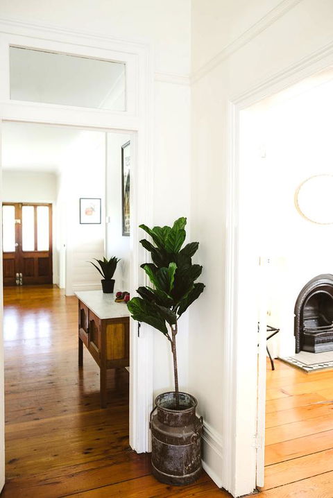 Morpeth Cottage - Tourism Cairns 3