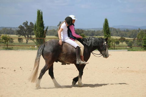 Belisi Farmstay Cottage - Tourism Cairns 28