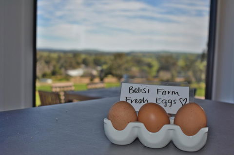 Belisi Farmstay Cottage - Tourism Cairns 20