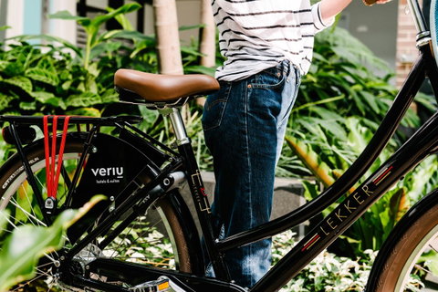 Veriu Camperdown - Tourism Cairns 8