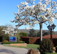 Hume Country Motor Inn - Tourism Cairns