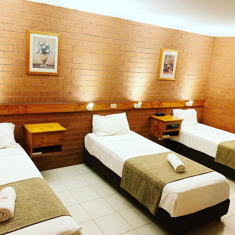 Pine Tree Motel - Tourism Cairns 31