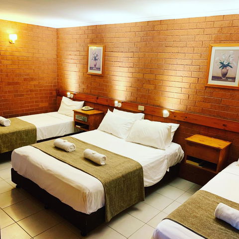 Pine Tree Motel - Tourism Cairns 19