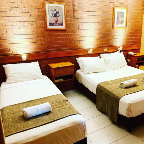 Pine Tree Motel - Tourism Cairns 27