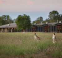Wildman Wilderness Lodge - Tourism Cairns