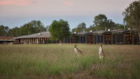Book Point Stuart Accommodation Vacations Tourism Cairns Tourism Cairns