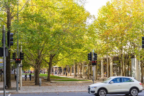 Highgate Executive Apartment City Walk Canberra - Tourism Cairns 37