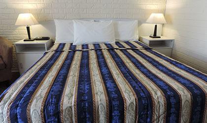 Bondi Motel - Tourism Cairns 0