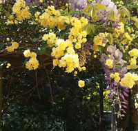 Bowral Road Bed and Breakfast - Tourism Cairns