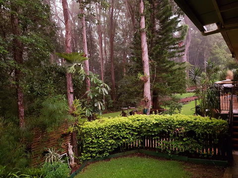 Buderim Forest Hideaway - Tourism Cairns 2