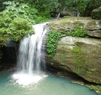 Buderim Forest Hideaway - Tourism Cairns