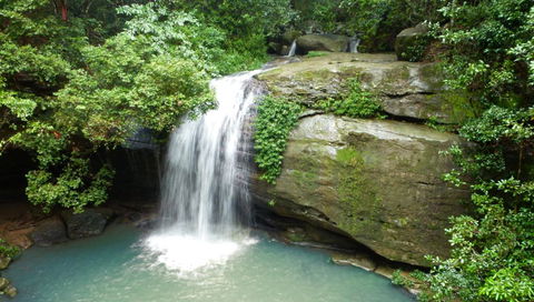 Buderim Forest Hideaway - Tourism Cairns 0