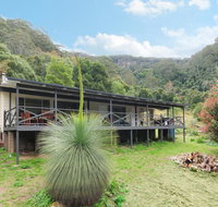 Cabbage Tree Farm - Seclusion and tranquillity - Tourism Cairns
